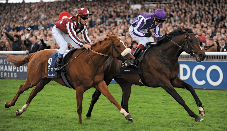 A Beginner's Guide to Horse Racing: Everything You Need to Know