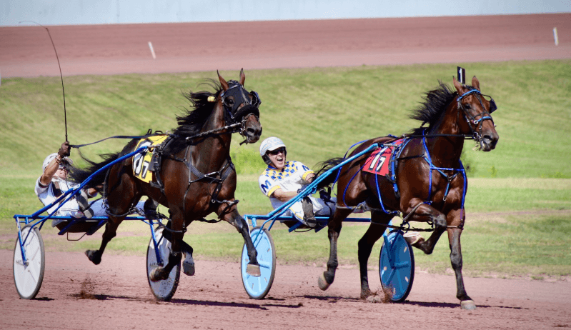 A Day at the Races: What to Expect When You Visit a Horse Racing Event