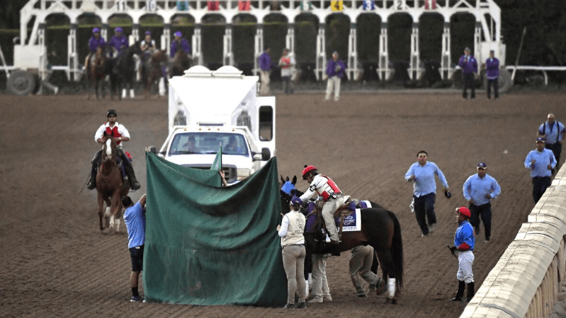 Behind the Scenes of a Horse Race: What Happens Before During and After